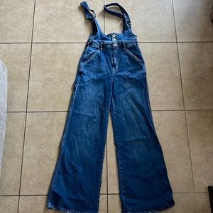 Anthropologie Pilcro The Carpenter Denim Pinafore Jumpsuit Size 25